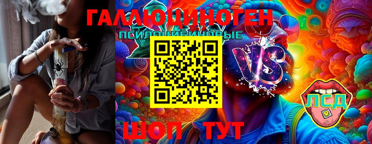 Псилоцибиновые грибы Magic Shrooms  где можно купить   Топки  Вход с VPN 